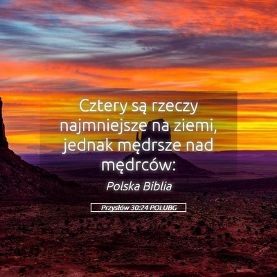 Picture 05 - Przysłów 30:24 POLUBG - Cztery są rzeczy najmniejsze na ziemi, jednak - Bible Verse Picture