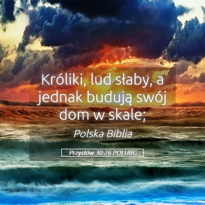 Picture 05 - Przysłów 30:26 POLUBG - Króliki, lud słaby, a jednak budują swój dom - Bible Verse Picture
