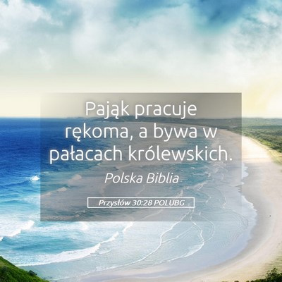 Picture 05 - Przysłów 30:28 POLUBG - Pająk pracuje rękoma, a bywa w pałacach - Bible Verse Picture