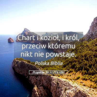 Picture 05 - Przysłów 30:31 POLUBG - Chart i kozioł, i król, przeciw któremu nikt - Bible Verse Picture