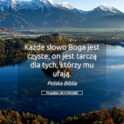 Picture 05 - Przysłów 30:5 POLUBG - Każde słowo Boga jest czyste; on jest tarczą - Bible Verse Picture
