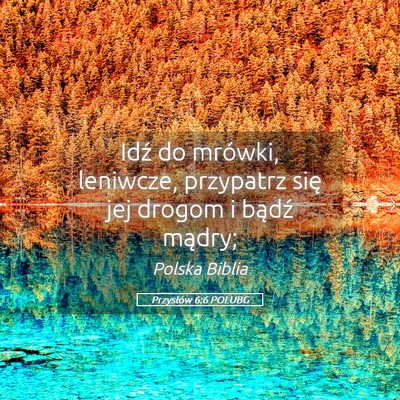 Picture 05 - Przysłów 6:6 POLUBG - Idź do mrówki, leniwcze, przypatrz się jej - Bible Verse Picture