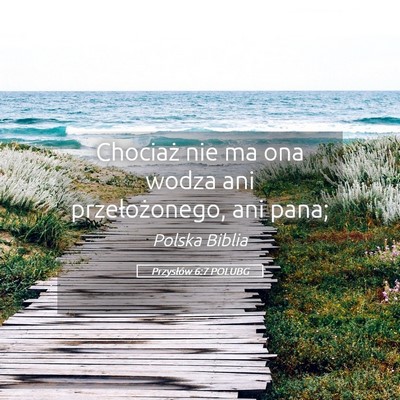 Picture 05 - Przysłów 6:7 POLUBG - Chociaż nie ma ona wodza ani przełożonego, ani - Bible Verse Picture