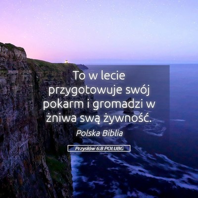 Picture 05 - Przysłów 6:8 POLUBG - To w lecie przygotowuje swój pokarm i gromadzi w - Bible Verse Picture
