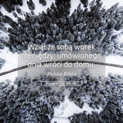 Picture 05 - Przysłów 7:20 POLUBG - Wziął ze sobą worek pieniędzy; umówionego - Bible Verse Picture