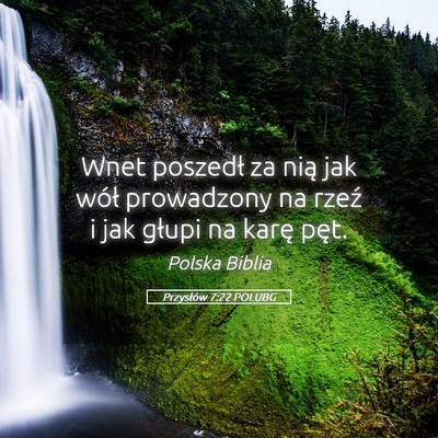 Picture 05 - Przysłów 7:22 POLUBG - Wnet poszedł za nią jak wół prowadzony na - Bible Verse Picture