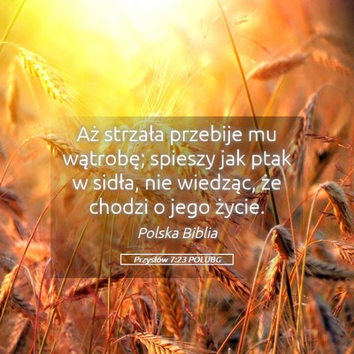 Picture 05 - Przysłów 7:23 POLUBG - Aż strzała przebije mu wątrobę; spieszy jak - Bible Verse Picture