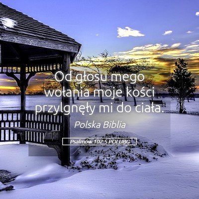 Picture 05 - Psalmów 102:5 POLUBG - Od głosu mego wołania moje kości przylgnęły - Bible Verse Picture
