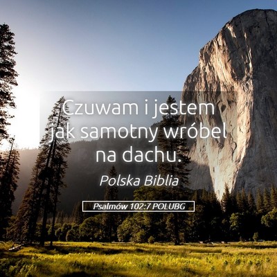 Picture 05 - Psalmów 102:7 POLUBG - Czuwam i jestem jak samotny wróbel na - Bible Verse Picture