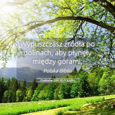 Picture 05 - Psalmów 104:10 POLUBG - Wypuszczasz źródła po dolinach, aby płynęły - Bible Verse Picture