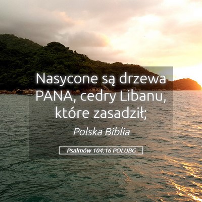 Picture 05 - Psalmów 104:16 POLUBG - Nasycone są drzewa PANA, cedry Libanu, które - Bible Verse Picture