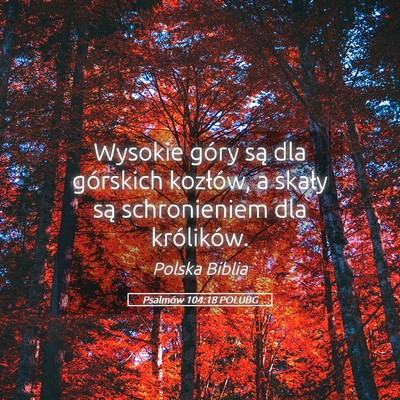 Picture 05 - Psalmów 104:18 POLUBG - Wysokie góry są dla górskich kozłów, a - Bible Verse Picture