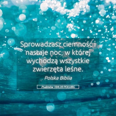 Picture 05 - Psalmów 104:20 POLUBG - Sprowadzasz ciemność i nastaje noc, w której - Bible Verse Picture