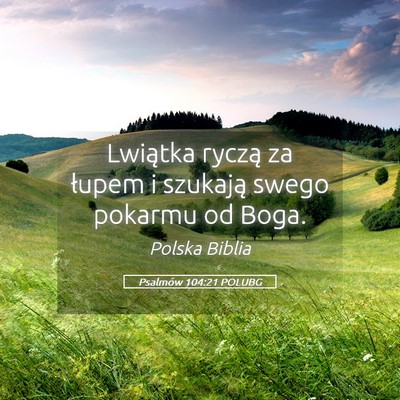 Picture 05 - Psalmów 104:21 POLUBG - Lwiątka ryczą za łupem i szukają swego - Bible Verse Picture