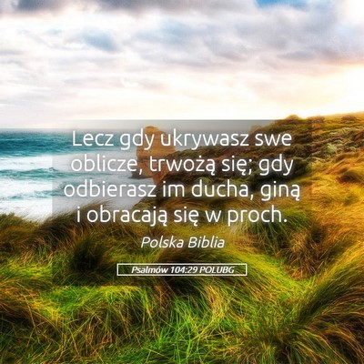 Picture 05 - Psalmów 104:29 POLUBG - Lecz gdy ukrywasz swe oblicze, trwożą się; gdy - Bible Verse Picture