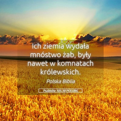 Picture 05 - Psalmów 105:30 POLUBG - Ich ziemia wydała mnóstwo żab, były nawet w - Bible Verse Picture