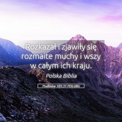 Picture 05 - Psalmów 105:31 POLUBG - Rozkazał i zjawiły się rozmaite muchy i wszy w - Bible Verse Picture