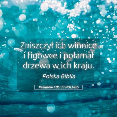 Picture 05 - Psalmów 105:33 POLUBG - Zniszczył ich winnice i figowce i połamał - Bible Verse Picture
