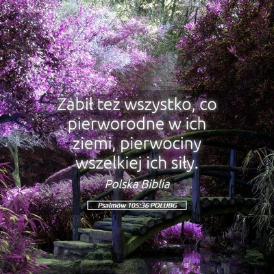 Picture 05 - Psalmów 105:36 POLUBG - Zabił też wszystko, co pierworodne w ich ziemi, - Bible Verse Picture