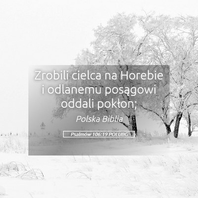 Picture 05 - Psalmów 106:19 POLUBG - Zrobili cielca na Horebie i odlanemu posągowi - Bible Verse Picture