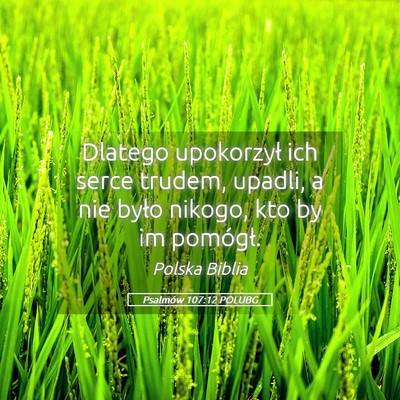 Picture 05 - Psalmów 107:12 POLUBG - Dlatego upokorzył ich serce trudem, upadli, a - Bible Verse Picture