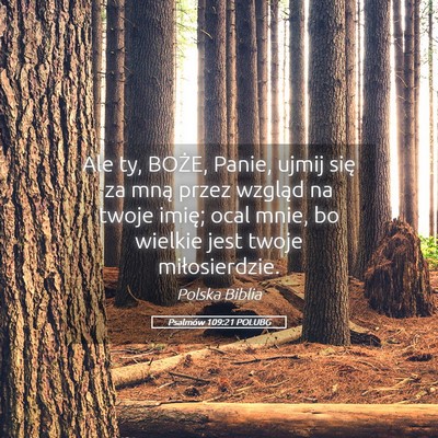 Picture 05 - Psalmów 109:21 POLUBG - Ale ty, BOŻE, Panie, ujmij się za mną przez - Bible Verse Picture
