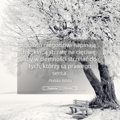 Picture 05 - Psalmów 11:2 POLUBG - Bo oto niegodziwi napinają łuk, kładą - Bible Verse Picture