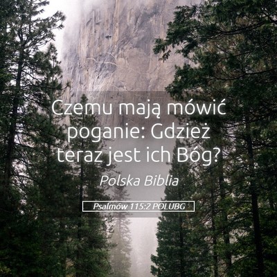 Picture 05 - Psalmów 115:2 POLUBG - Czemu mają mówić poganie: Gdzież teraz jest - Bible Verse Picture