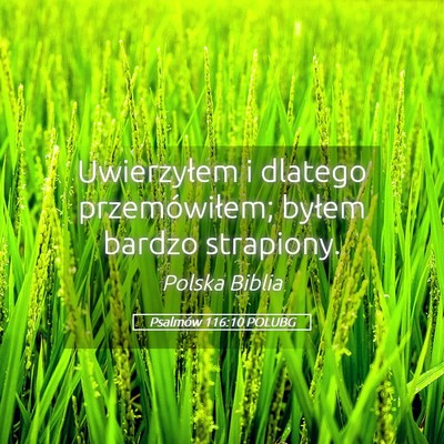 Picture 05 - Psalmów 116:10 POLUBG - Uwierzyłem i dlatego przemówiłem; byłem - Bible Verse Picture