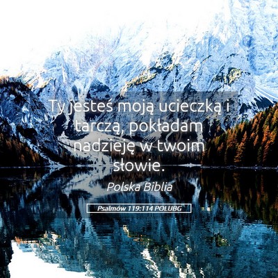 Picture 05 - Psalmów 119:114 POLUBG - Ty jesteś moją ucieczką i tarczą, pokładam - Bible Verse Picture