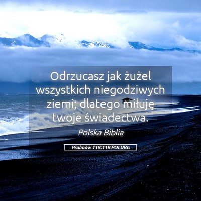 Picture 05 - Psalmów 119:119 POLUBG - Odrzucasz jak żużel wszystkich niegodziwych - Bible Verse Picture