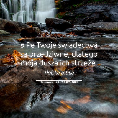Picture 05 - Psalmów 119:129 POLUBG - פ Pe Twoje świadectwa są przedziwne, dlatego - Bible Verse Picture