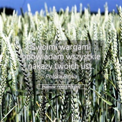 Picture 05 - Psalmów 119:13 POLUBG - Swoimi wargami opowiadam wszystkie nakazy twoich - Bible Verse Picture