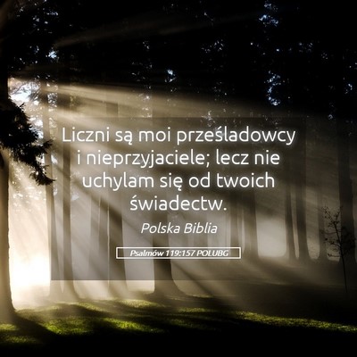 Picture 05 - Psalmów 119:157 POLUBG - Liczni są moi prześladowcy i nieprzyjaciele; - Bible Verse Picture