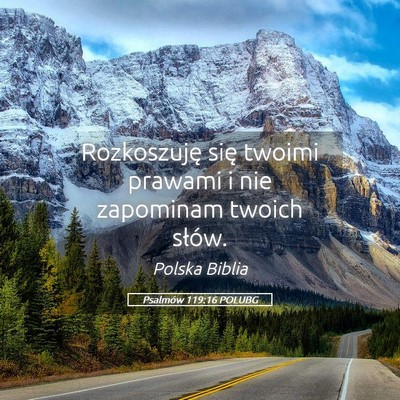 Picture 05 - Psalmów 119:16 POLUBG - Rozkoszuję się twoimi prawami i nie zapominam - Bible Verse Picture