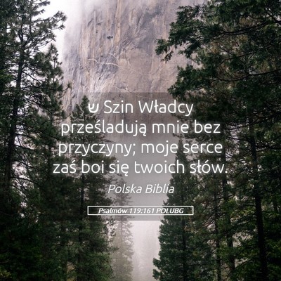 Picture 05 - Psalmów 119:161 POLUBG - ש Szin Władcy prześladują mnie bez przyczyny; - Bible Verse Picture