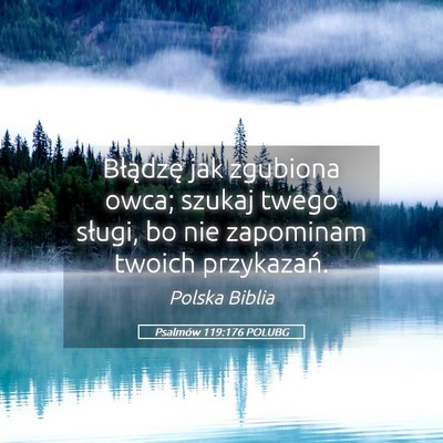 Picture 05 - Psalmów 119:176 POLUBG - Błądzę jak zgubiona owca; szukaj twego sługi, - Bible Verse Picture