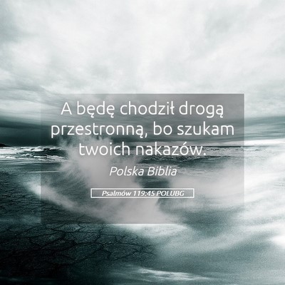 Picture 05 - Psalmów 119:45 POLUBG - A będę chodził drogą przestronną, bo szukam - Bible Verse Picture