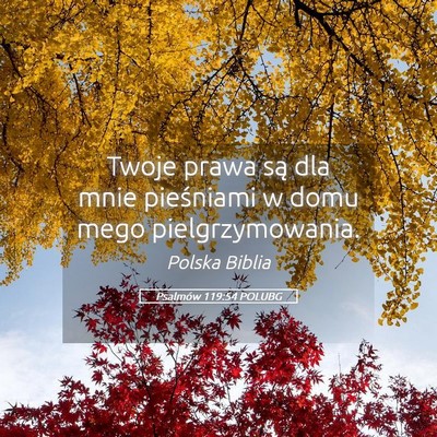 Picture 05 - Psalmów 119:54 POLUBG - Twoje prawa są dla mnie pieśniami w domu mego - Bible Verse Picture