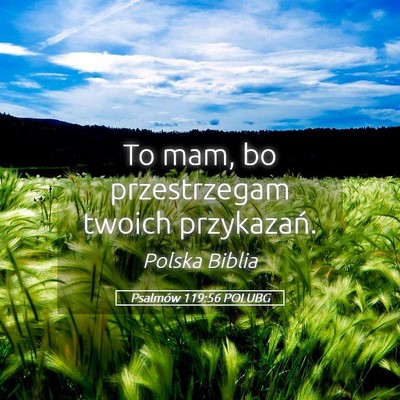 Picture 05 - Psalmów 119:56 POLUBG - To mam, bo przestrzegam twoich - Bible Verse Picture