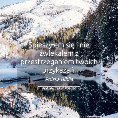 Picture 05 - Psalmów 119:60 POLUBG - Spieszyłem się i nie zwlekałem z - Bible Verse Picture