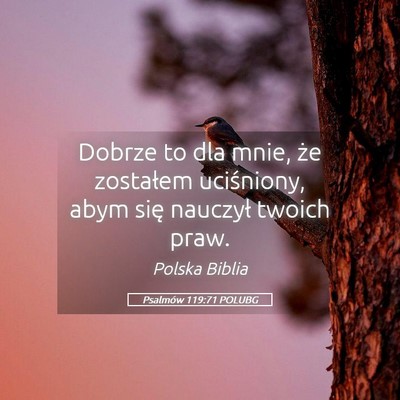 Picture 05 - Psalmów 119:71 POLUBG - Dobrze to dla mnie, że zostałem uciśniony, - Bible Verse Picture