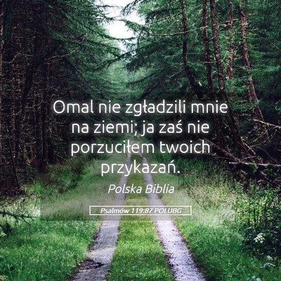 Picture 05 - Psalmów 119:87 POLUBG - Omal nie zgładzili mnie na ziemi; ja zaś nie - Bible Verse Picture