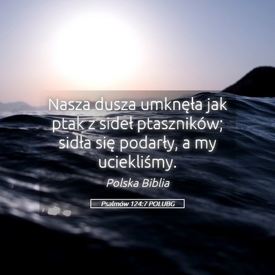 Picture 05 - Psalmów 124:7 POLUBG - Nasza dusza umknęła jak ptak z sideł - Bible Verse Picture