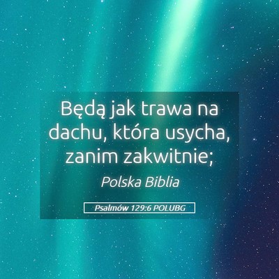 Picture 05 - Psalmów 129:6 POLUBG - Będą jak trawa na dachu, która usycha, zanim - Bible Verse Picture