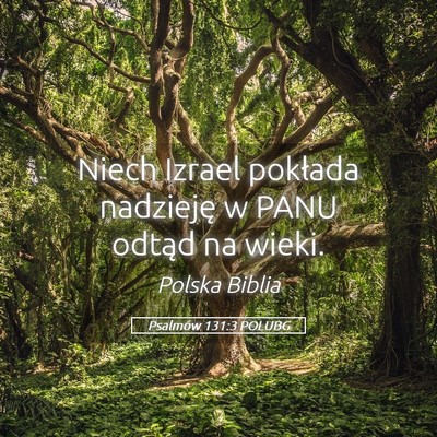 Picture 05 - Psalmów 131:3 POLUBG - Niech Izrael pokłada nadzieję w PANU odtąd na - Bible Verse Picture