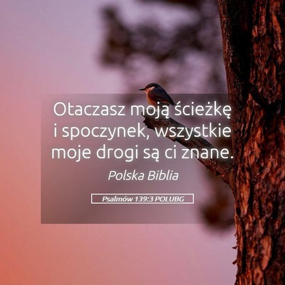 Picture 05 - Psalmów 139:3 POLUBG - Otaczasz moją ścieżkę i spoczynek, wszystkie - Bible Verse Picture