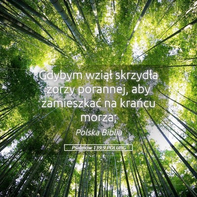 Picture 05 - Psalmów 139:9 POLUBG - Gdybym wziął skrzydła zorzy porannej, aby - Bible Verse Picture