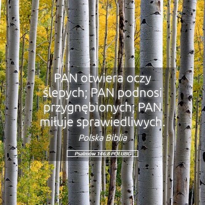 Picture 05 - Psalmów 146:8 POLUBG - PAN otwiera oczy ślepych; PAN podnosi - Bible Verse Picture
