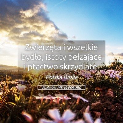 Picture 05 - Psalmów 148:10 POLUBG - Zwierzęta i wszelkie bydło, istoty pełzające - Bible Verse Picture
